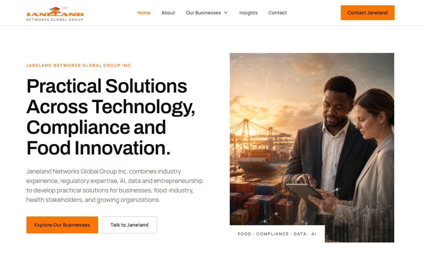 Janeland Networks responsive website redesign homepage